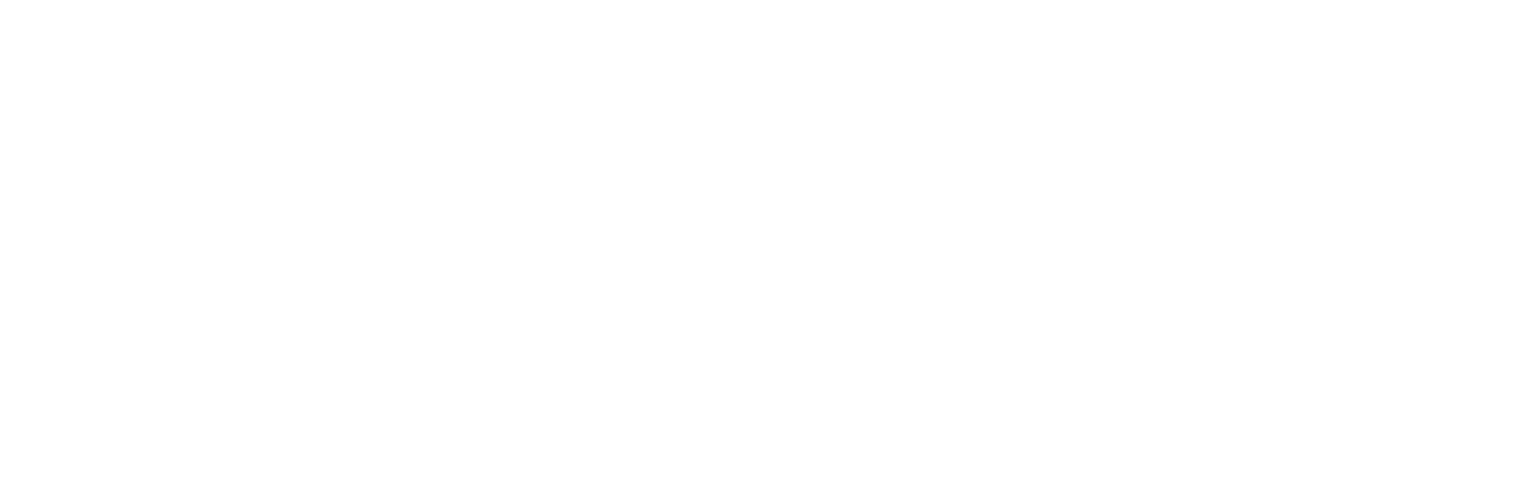 logo-centro-studi-leonardeschi